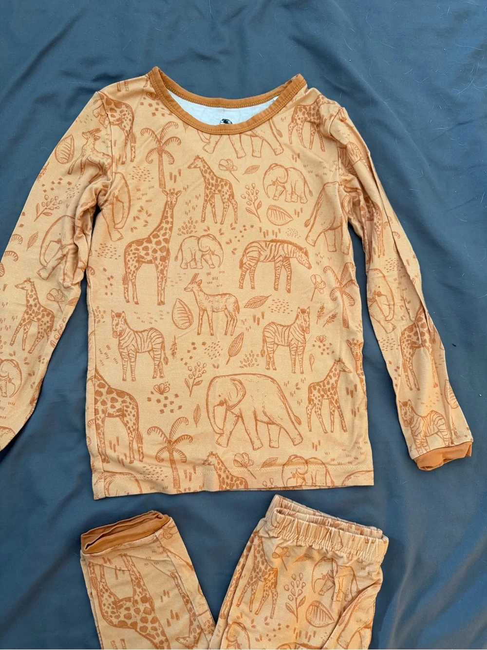 Lama Littles Savanna Long Sleeve Pants PJ Set 4T VGUC